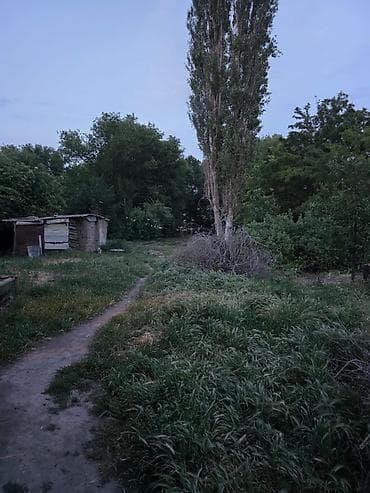 ош жапалак: Дом с участком в с. Лесное (трасса к аэропорту Манас) - Площадь дома — 2