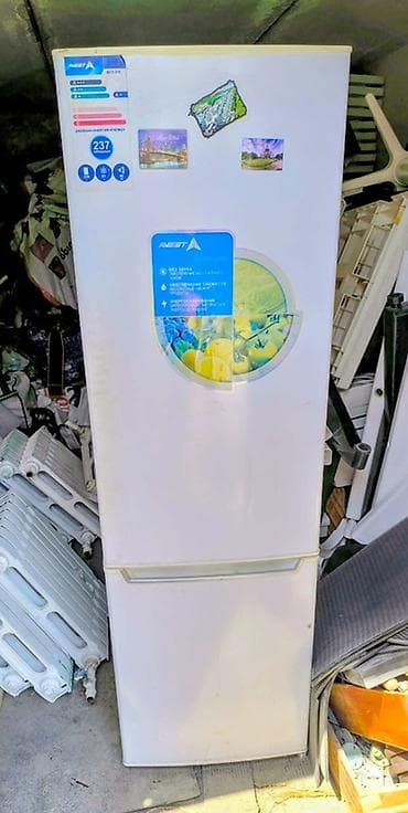 Техника и электроника: Холодильник NEST (модель на стикере: BCD-210) - Тип: двухкамерный — 1
