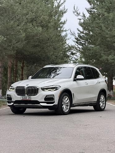 fit shuttle: BMW X5: 2019 г., 3 л, Автомат, Бензин, Внедорожник — 5