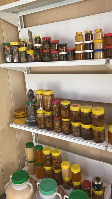 баночки для меда бишкек: Токтогульский горный чистый мёд! Оптом и в Розницу. Цена свыше 33кг — 6