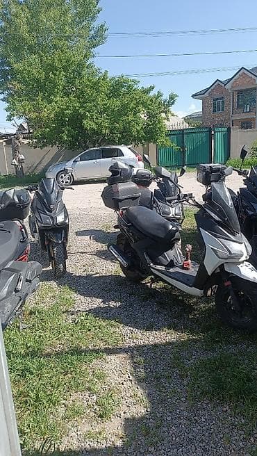 super soco tc: Скутеры в АРЕНДУ для КУРЬЕРОВ. Надежная техника, без простоев! — 2