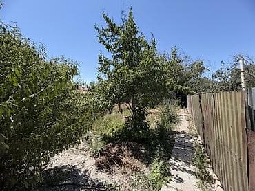 загородные домики: Продается дом в городе кара-балта ул. Жамбула 65дом из 3 комнат в — 9