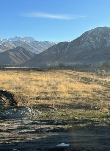 продаю земельный участок чолпоната: 12 соток, Для сельского хозяйства — 1