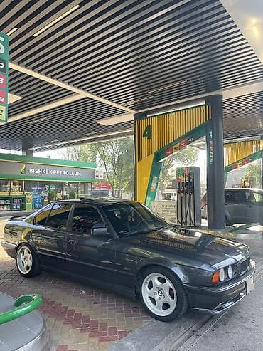 туманики 210: BMW 5 series: 1995 г. — 3