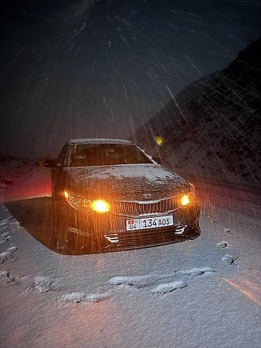 step spada: Kia Optima: 2018 г., 2.4 л, Автомат, Бензин, Седан — 8