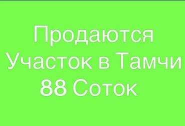 кирг шёлк: 88 соток, Курулуш — 1
