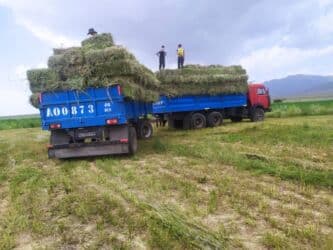 продаю хюндай саната: Грузовик, Б/у — 7