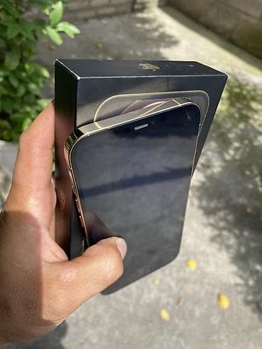 apple pro: IPhone 12 Pro Max, 128 ГБ, Matte Gold, Коробка, 80 % — 7