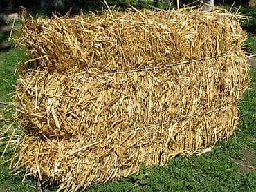 мука гречневая: Тюки соломы (прямоугольны для стройки — 2