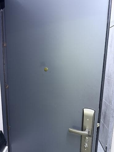 solutions upper: Двери для домов и квартир, Металлическая, Одностворчатая, Китайская, цвет - Серый — 2