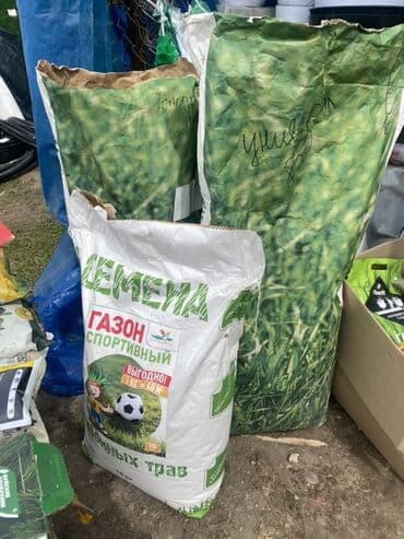 пельмени из клевера: Предлагаются семена газонной травы различных сортов, включая — 1