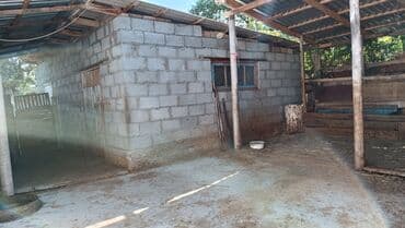 дом сары камыш: Дом, 85 м², 6 комнат, Собственник — 8