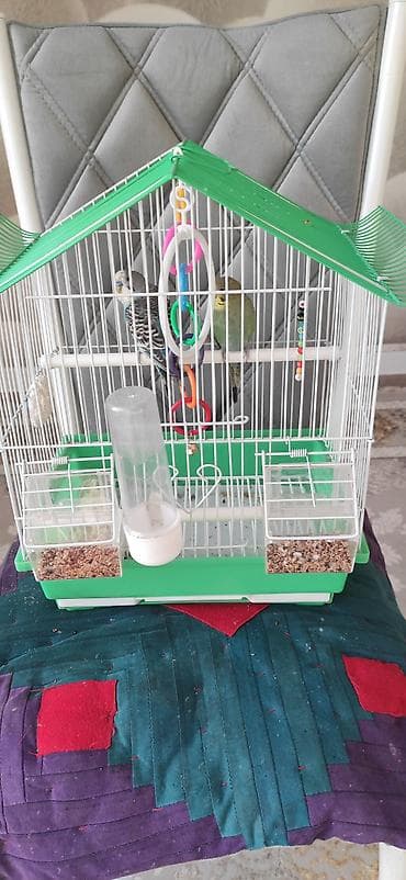 скворечник для птиц: Домик‑клетка для волнистых попугаев с аксессуарами - Металлическая — 4