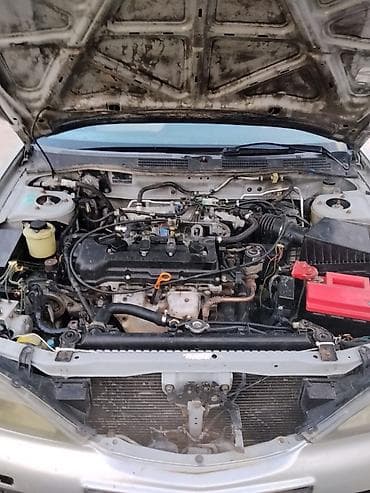 фит приматок: Nissan Primera: 2001 г., 1.8 л, Механика, Лифтбек — 8