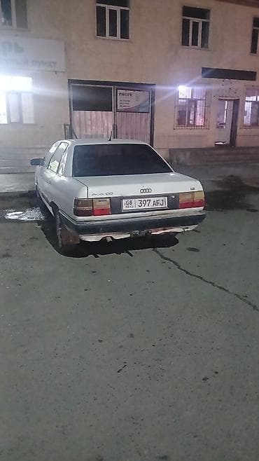 садовые цветы в бишкеке: Пеларгония (герань) с розовыми соцветиями - Сорт: зональная — 4