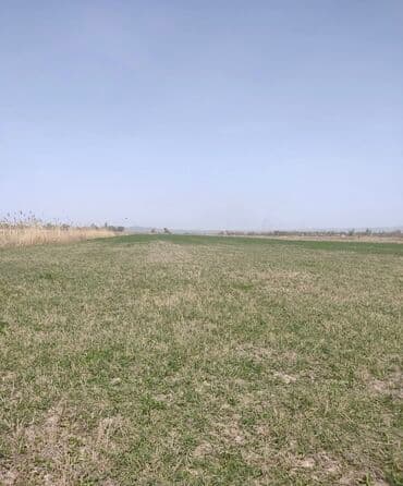 село степной: 700 соток, Для сельского хозяйства, Договор купли-продажи — 1