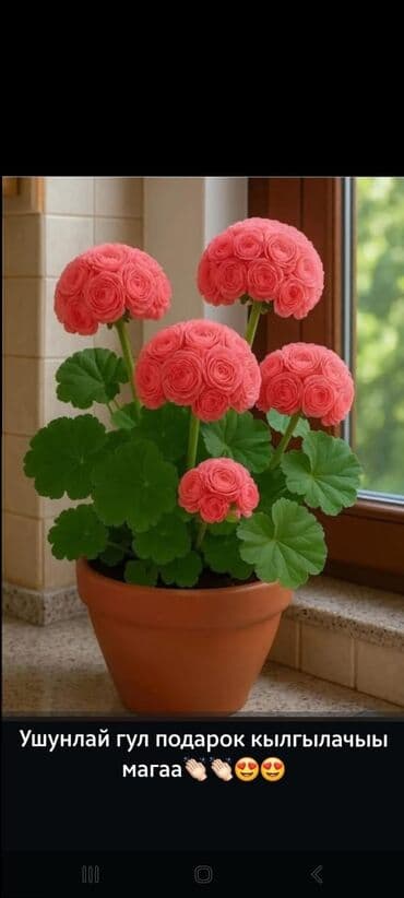 айфон 11 про макс в рассрочку бишкек: Электрическая, Механическое, Б/у — 3