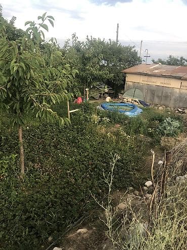 дача участок купить: Продаю дачу в Чолтон-Ате 6 соток.красная книга.Летний домик сад — 6