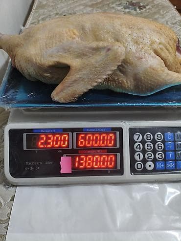 Птицы: В продаже -тушки утки Мулард, в наличии и на заказ,свежие — 1
