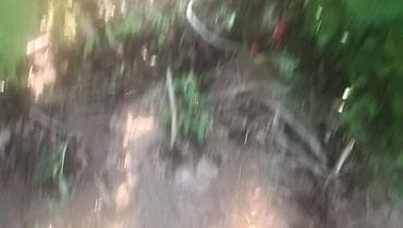 Сүт азыктары жана жумурткалар: Өрүктөр — 1