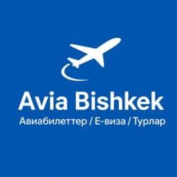 агентства по трудоустройству в европу в бишкеке: ✈️ Avia Bishkek — дешёвые авиабилеты, Е-визы и туры по всему миру! 🌍 — 3