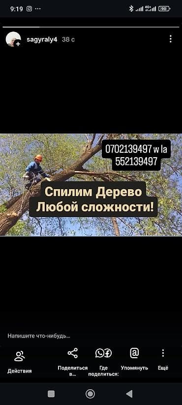 Услуги по спилу деревьев любой сложности. - Аварийный и плановый спил lalafo.kg да Услуги по спилу деревьев любой сложности. - Аварийный и плановый спил