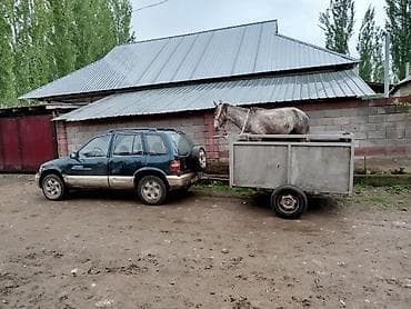 Прицеп, Special trailer, до 3,5 т