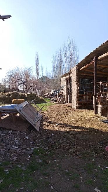 участок каинды: 9 соток, Красная книга — 2