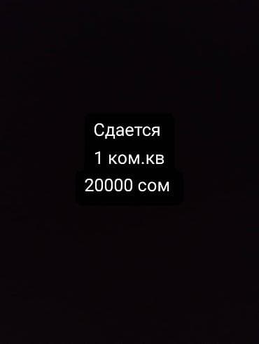 Студия, Менчик ээси, Жарым -жартылай эмереги бар