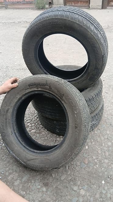 Шины 205 / 55 / R 16, Лето, Б/у, Комплект, Легковые, Sailun