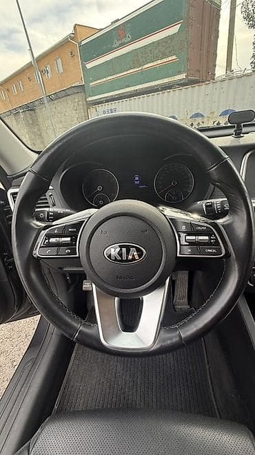 задняя дверь на к5 2017: Kia K5: 2019 г., 2 л, Автомат, Газ, Седан — 9