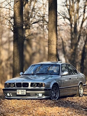 cdi 2 7: BMW 5 series: 1996 г., 4 л, Механика, Бензин, Седан — 2