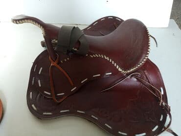 Собаки: Мыткты сапаттагы ээр токумдар, сапатына гарантия беребиз. суроттогу — 10