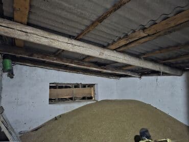 купить дом в деревне лнр недорого: Дача, 30000 кв. м, 2 бөлмө, Менчик ээси — 8