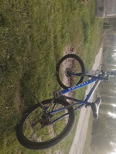 legend: Горный велосипед, Рама M (156 - 178 см), Сталь — 1