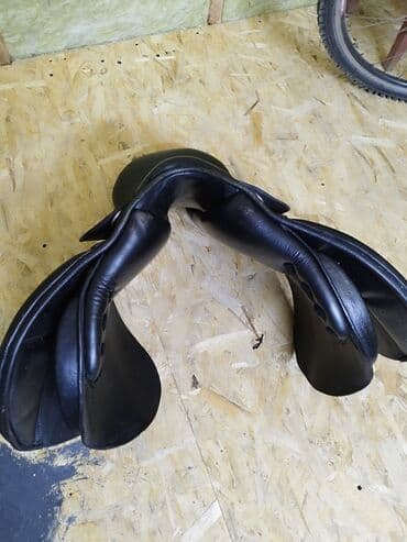 продажа домашних животных: Кожа спортивный ээр Европа+сапоги Америка(фирма CAT очень — 6