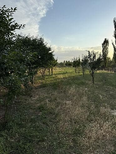 дача надежда: 16 соток, Для строительства, Договор купли-продажи — 3