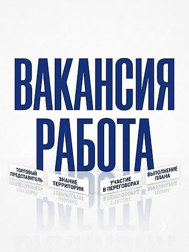 работа бишкек электрик: Вакансия: Торговый представитель для бытовая химия Основные задачи — 1