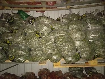 Продукты питания: Замороженные овощи и фрукты — недорого Ассортимент: - Помидоры — 2