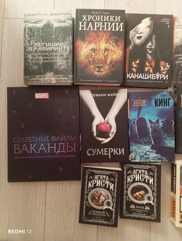 книга привет сосед: Ужасы и триллеры, На русском языке — 2