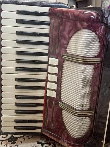 Велосипед тетиктери: Аккордеон/гармошка с клавиатурой пианино - Правая клавиатура: 41 — 5