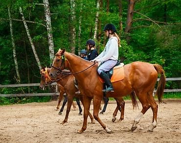 arashan: Конные прогулки “Royal Horse Arashan” - Локации: горное ущелье Арашан — 2