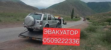 daf 2013: С лебедкой — 1