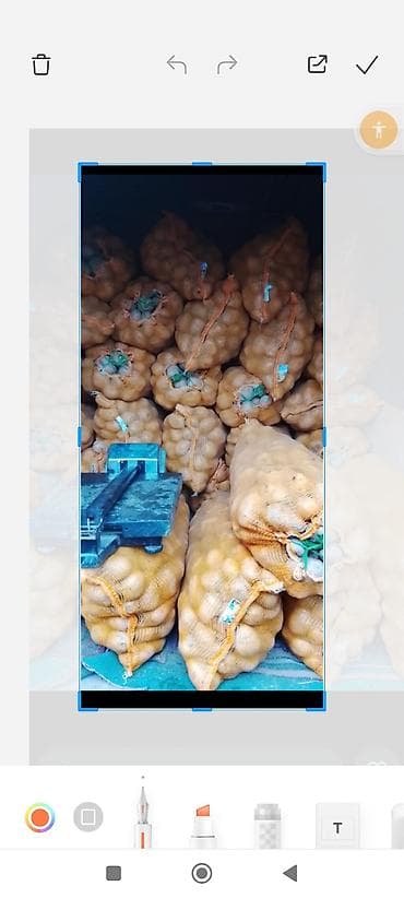 картошк: Картошка — 1