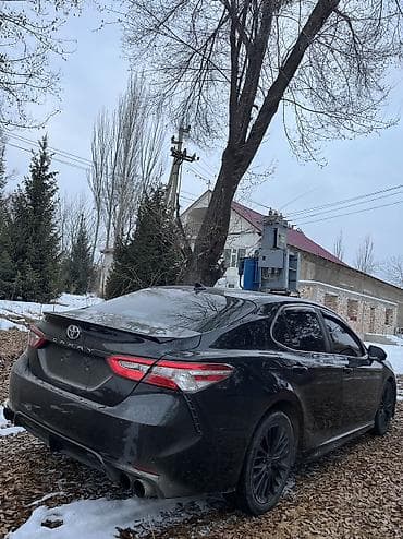 camry 2000: Toyota Camry: 2020 г., 2.5 л, Автомат, Бензин, Седан — 2