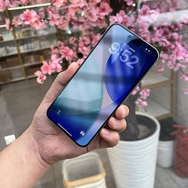 IPhone 15 Pro Max, Колдонулган, 256 ГБ, Natural Titanium, 95 % — 7