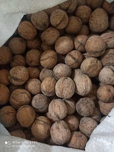 бутыли 20л: Грецкий орех в скорлупе. - Цельные орехи стандартного размера — 1