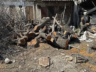 уголь в мешках кара кече: Дрова — 1