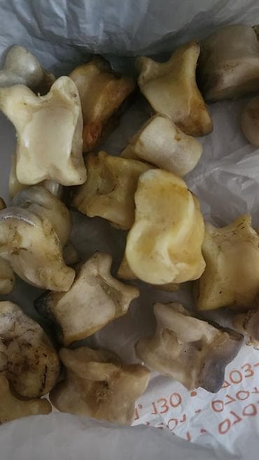 Спортивные сумки: Чуко сатылат — 1