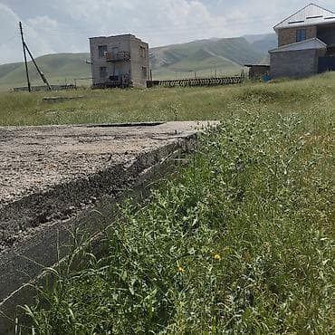 аламудунский: 500 соток, Красная книга, Договор купли-продажи — 8